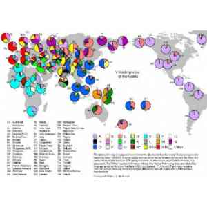 Mapa mundial de Haplogrupos Y